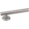 Harney Hardware Bathroom Grab Bars Bathroom Grab Bar, Contemporary, Round Escutcheon, 12 In. X 1 1/4 In.