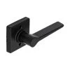 Harney Hardware Door Lever Inactive / Dummy Function Contemporary Style Palm Collection Residential Door Locks