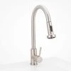 Harney Hardware Plumbing Fixtures Kitchen Sink Faucet Contemporary / Modern, Pull Down Spray, 16 1/2 In, High